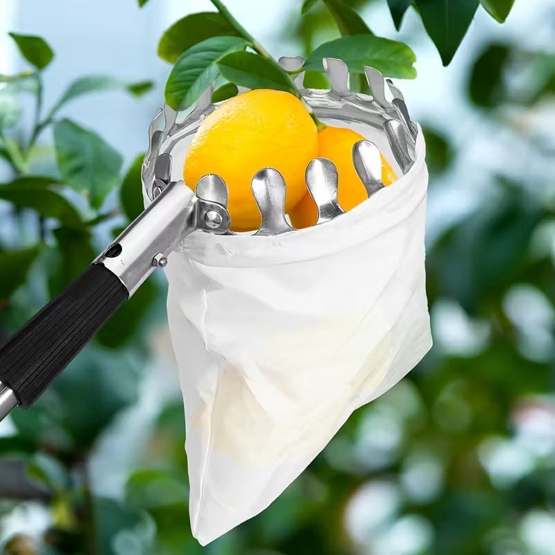 3.35m Telescopic Fruit Picker Pole with Basket – Adjustable Stainless Steel
