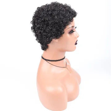 6 Inch Human Hair Curly Wig