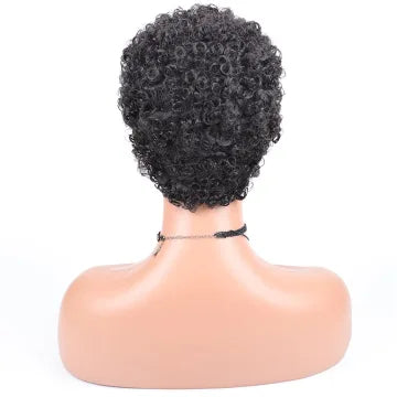6 Inch Human Hair Curly Wig