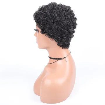 6 Inch Human Hair Curly Wig